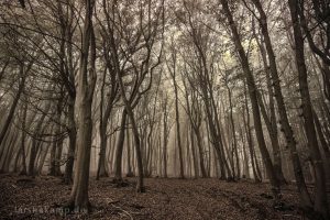 unbenannt-1820-bearbeitet