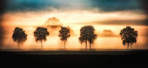 unbenannt-6403-bearbeitet